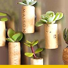 Art &amp; Crafts, DIY